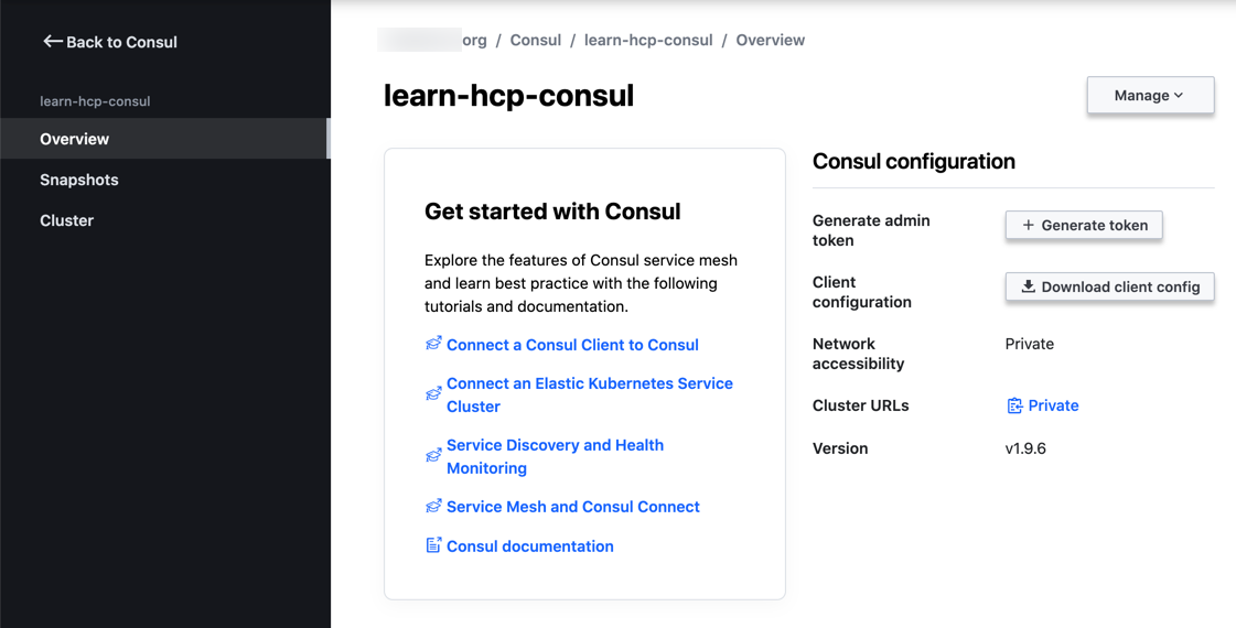 HCP Consul Dedicated Overview Page